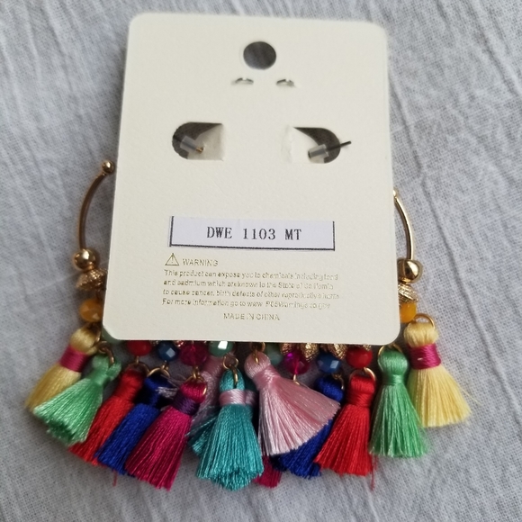 💥 Colorful Tassel Earrings - Picture 2 of 2